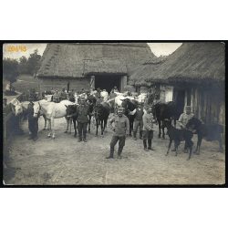   Magyar katonák helyi paraszttal, állatok, lovak, tehenek, egyenruha, 1. világháború, 1910-es évek, keleti hadszíntér, Eredeti fotó, papírkép.   