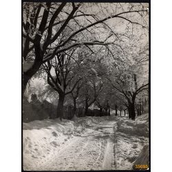   Nagyobb méret, Szendrő István fotóművészeti alkotása. Téli tájkép havas fákkal, 1930-as évek. Eredeti, pecséttel jelzett fotó, papírkép. Dekorációnak, ajándéknak is kiváló.