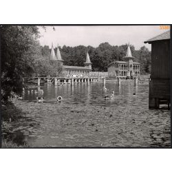   Nagyobb méret, Szendrő István fotóművészeti alkotása. A Hévízi-tó, Zala megye, 1930-as évek. Eredeti, pecséttel jelzett fotó, papírkép, Agfa Brovira papíron. Dekorációnak, ajándéknak is kiváló. méret 