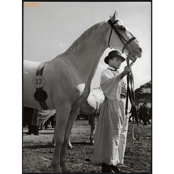 Nagyobb méret, Szendrő István fotóművészeti alkotása, csikós a lovával, lóvásáron, népviselet, kalap, 1930-as évek. Eredeti, pecséttel jelzett fotó, papírkép, Agfa Brovira papíron. 