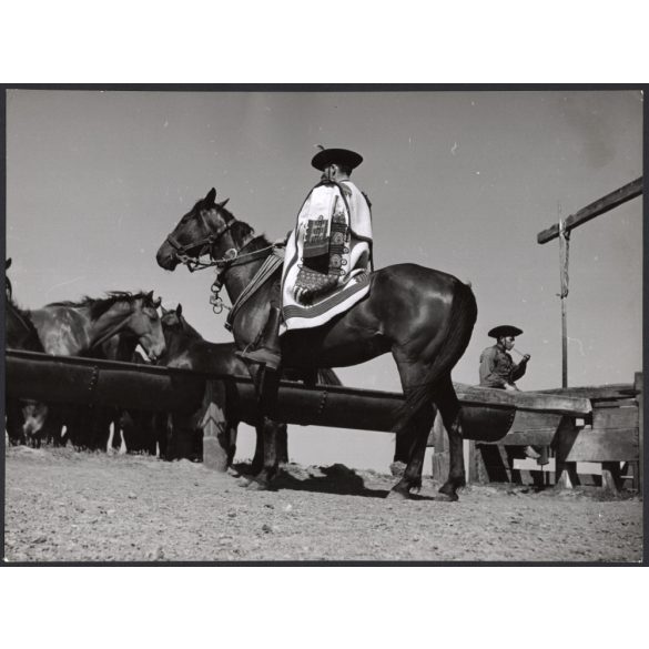 Nagyobb méret, Szendrő István fotóművészeti alkotása, lovász lóháton, népviselet, állatok, itató, kalap, pipa, 1930-as évek. Eredeti, pecséttel jelzett fotó, papírkép, Agfa Brovira papíron. 