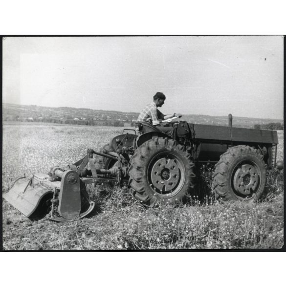 Dutra traktor fűkaszával, mezőgazdaság, jármű, 1950-es évek, szocializmus, Eredeti fotó, hátulján feliratozott papírkép.   