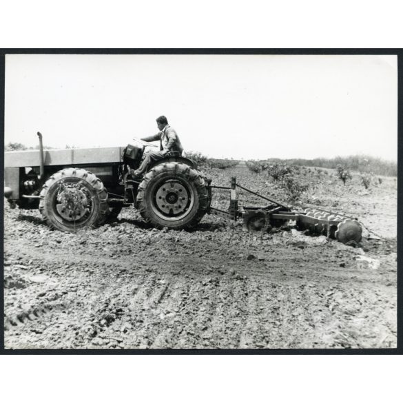 Dutra traktor tárcsákkal, mezőgazdaság, jármű, 1950-es évek, szocializmus, Eredeti fotó, hátulján feliratozott papírkép.  